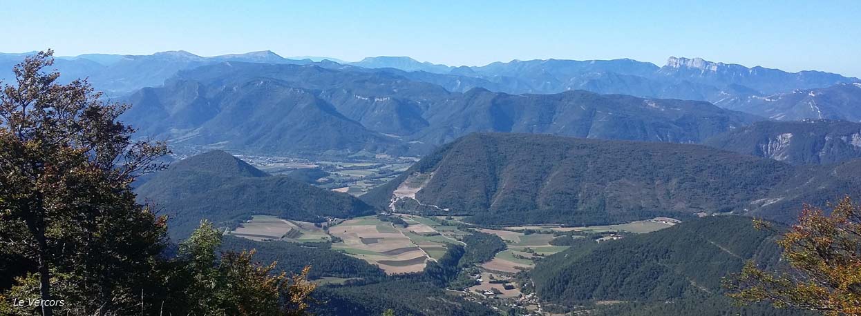 Herboristerie, Plantes médicinales, Récolte Sauvage, Plantes fraîches produits végétaux Herboristerie de la Chartreuse